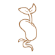 Sprout