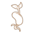 Sprout