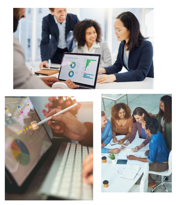 Custom ERP Systems