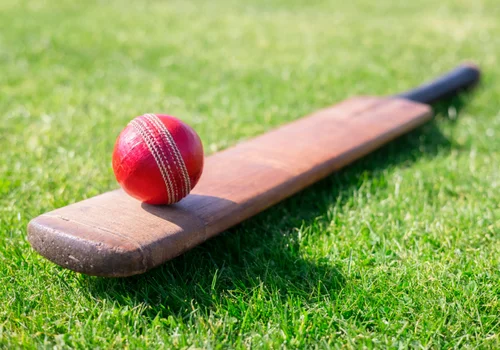 Cricket Clubs & Leagues