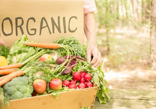 Organic Farming Companies