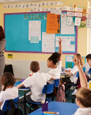 Primary Schools