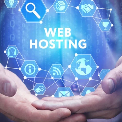 How We Help Your Business Grow with Domain & Hosting Management